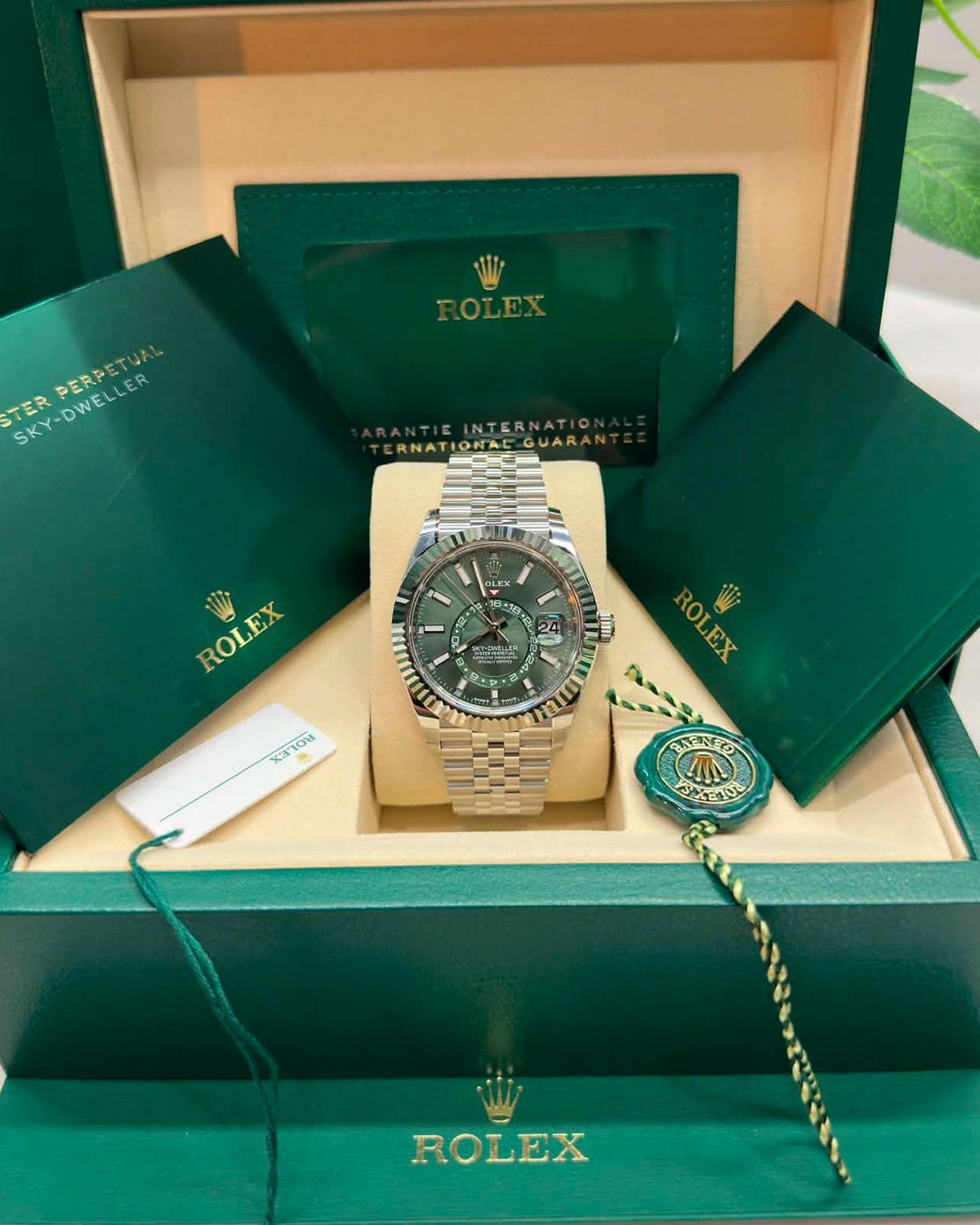 Rolex 336934