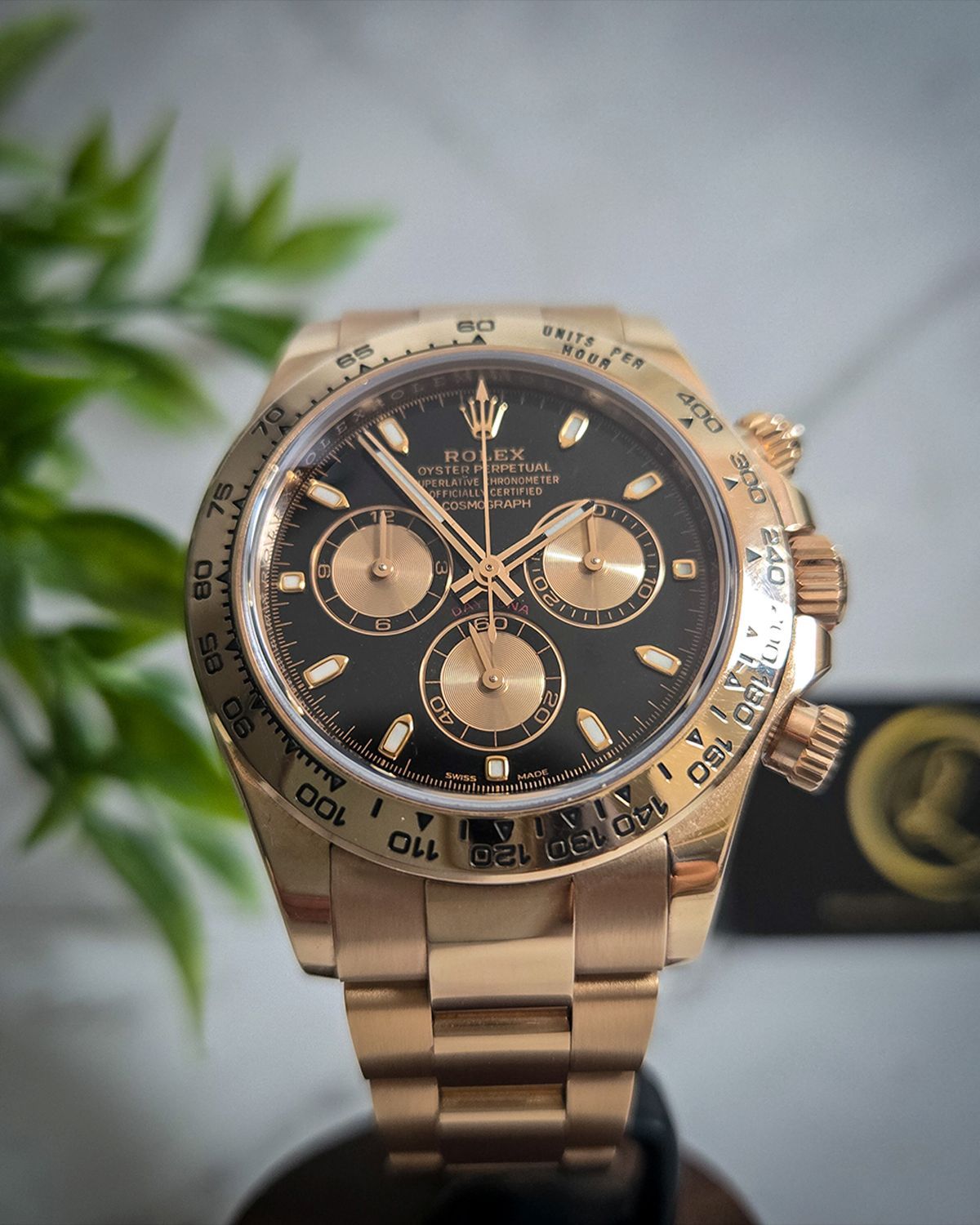 Rolex 116505