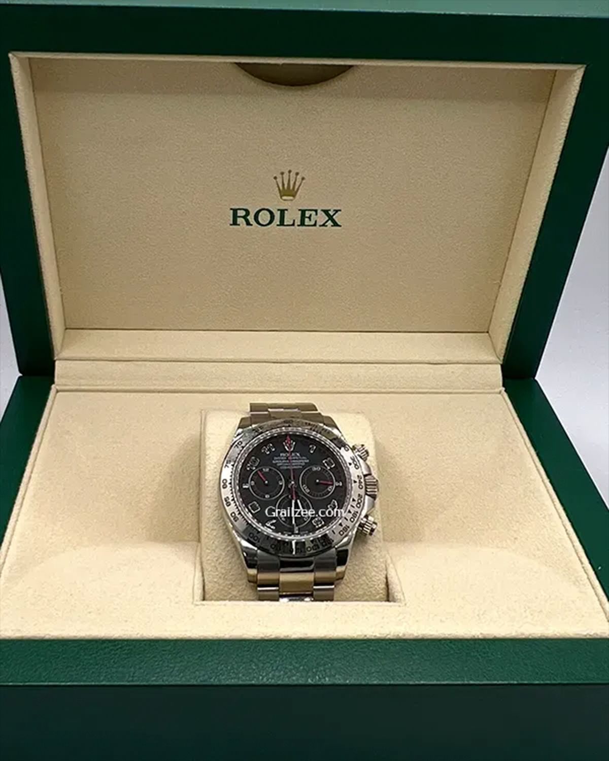 Rolex 116509