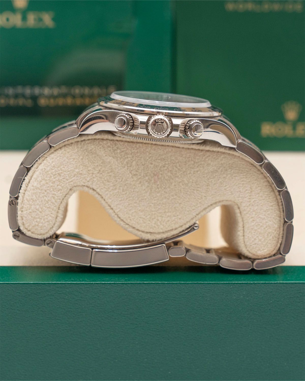 Rolex 116509