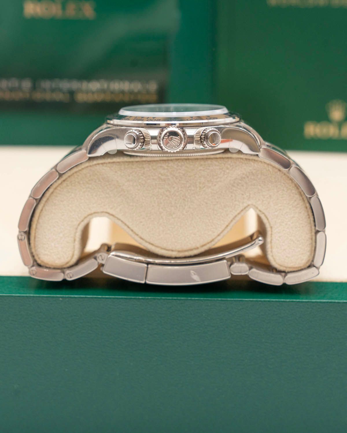 Rolex 116509