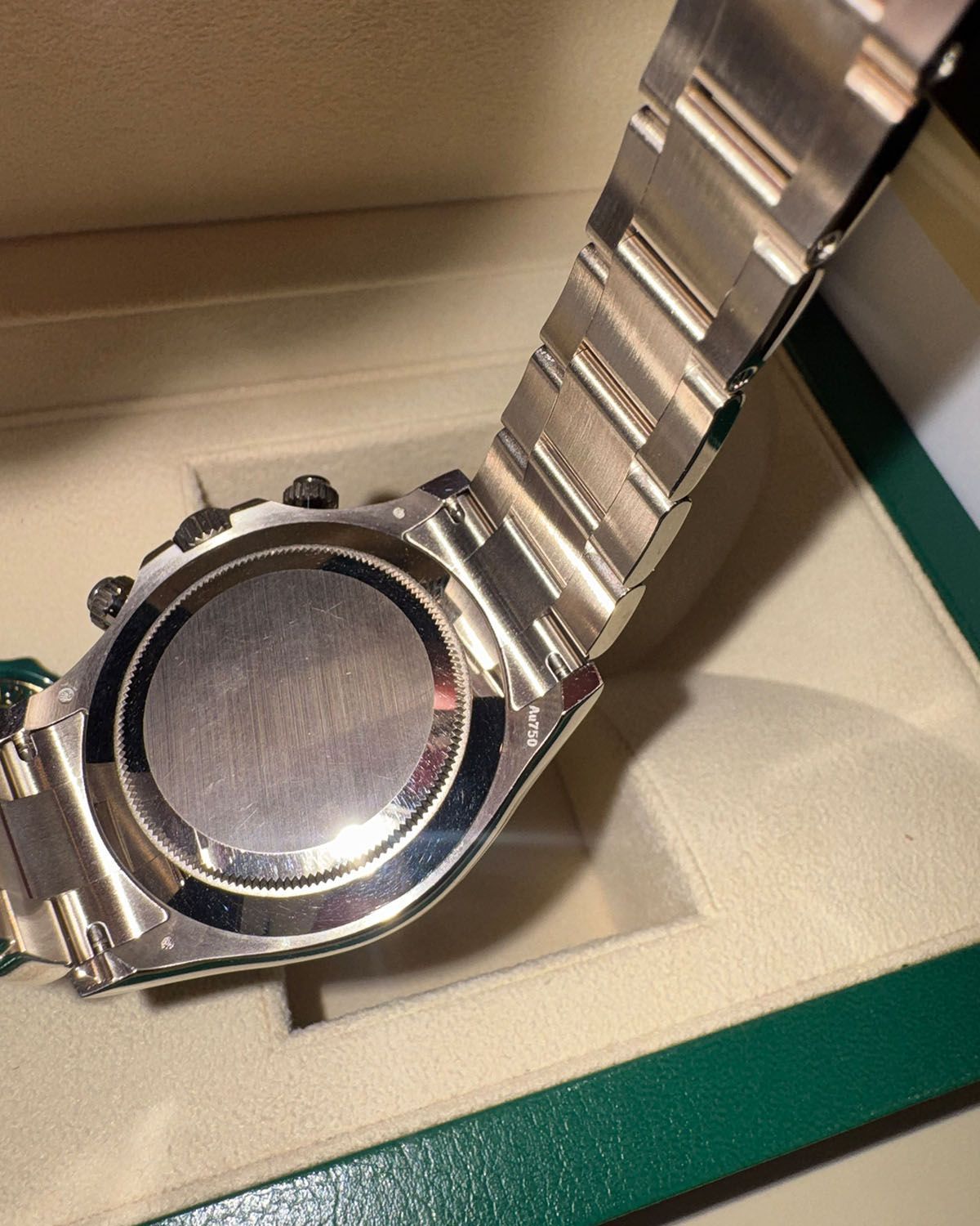 Rolex 116509
