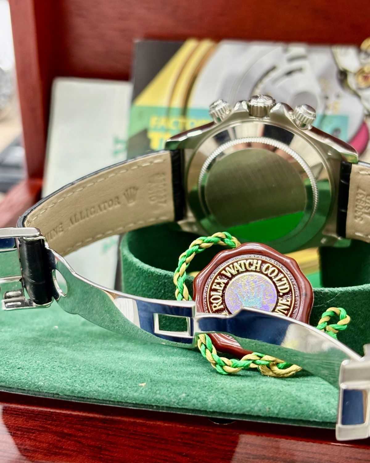 Rolex 116519