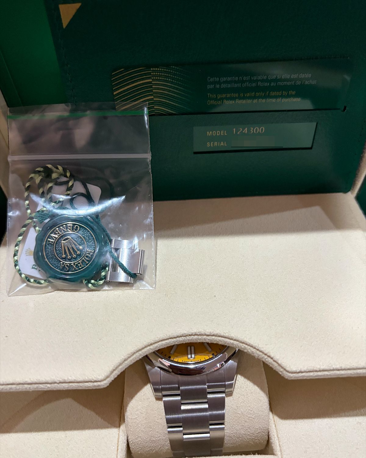 Rolex 124300
