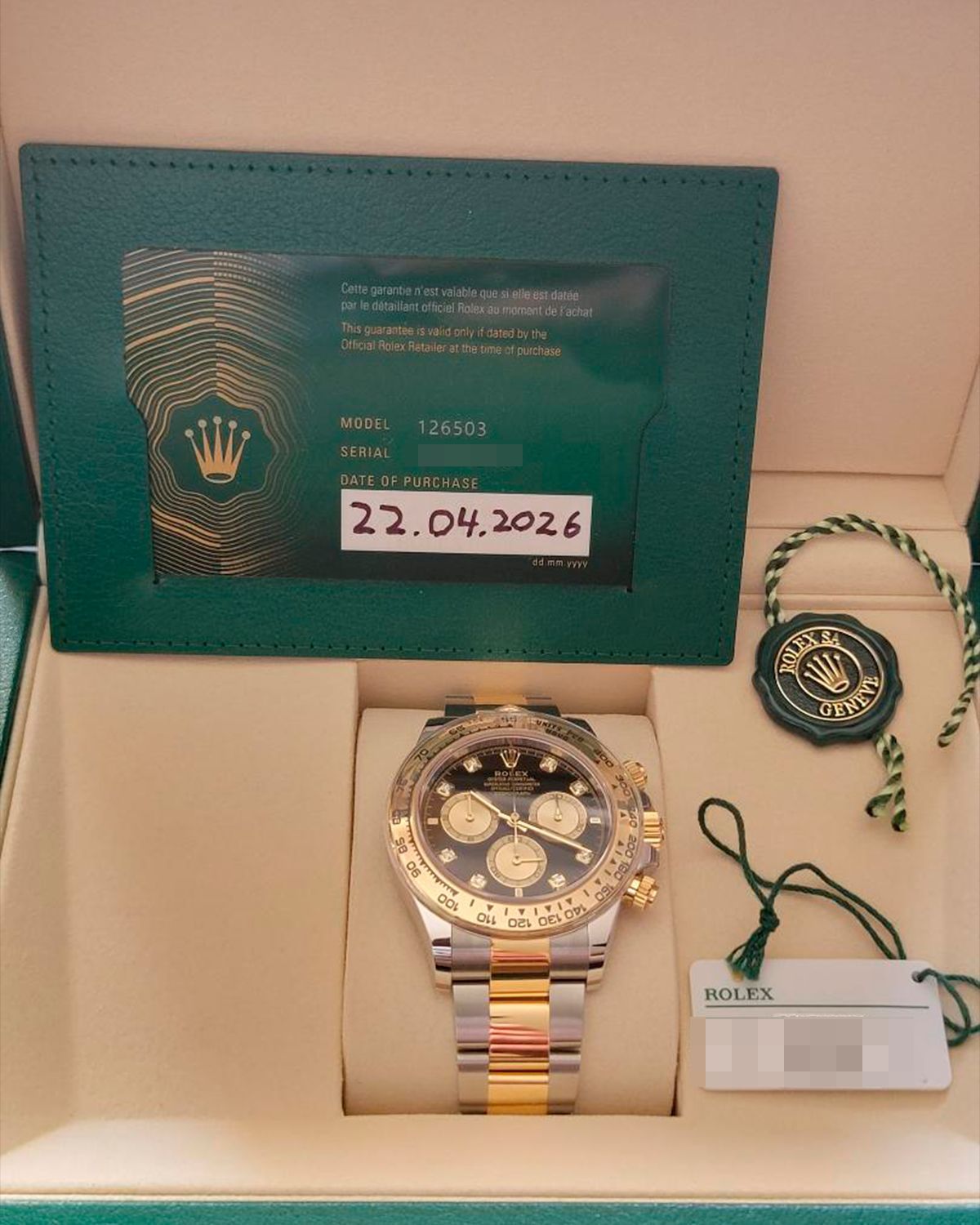 Rolex 126503