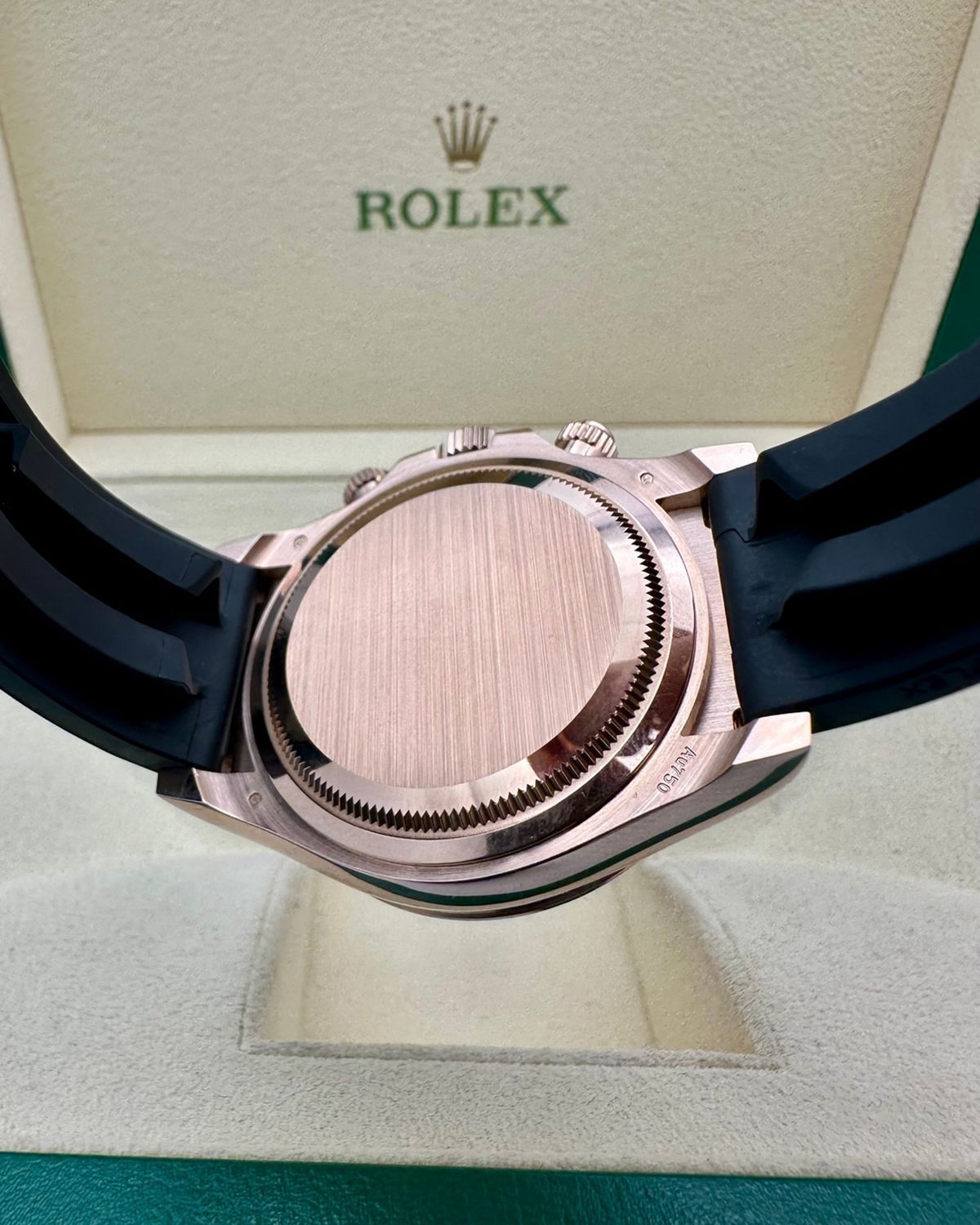 Rolex 126515LN