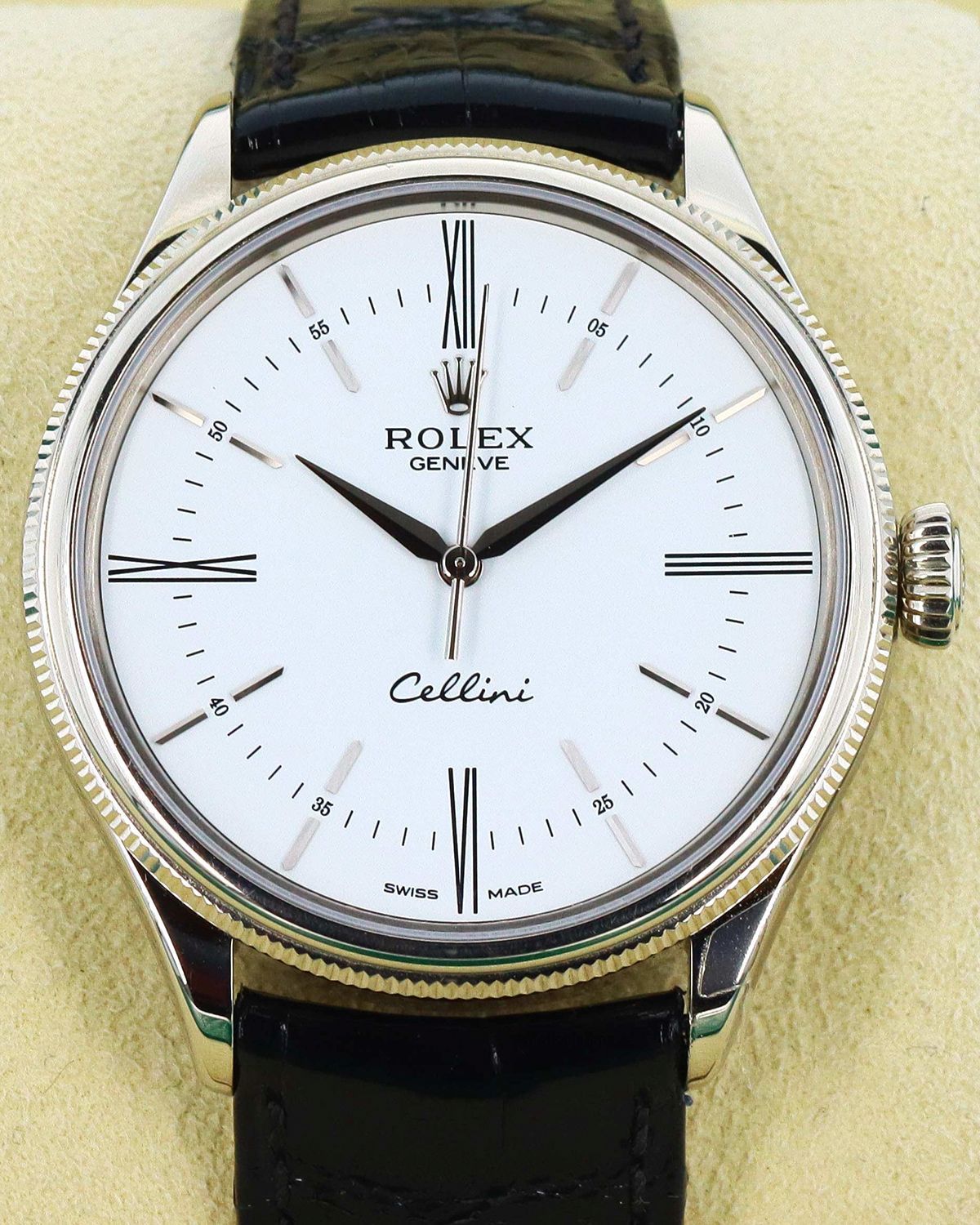 Rolex 50509