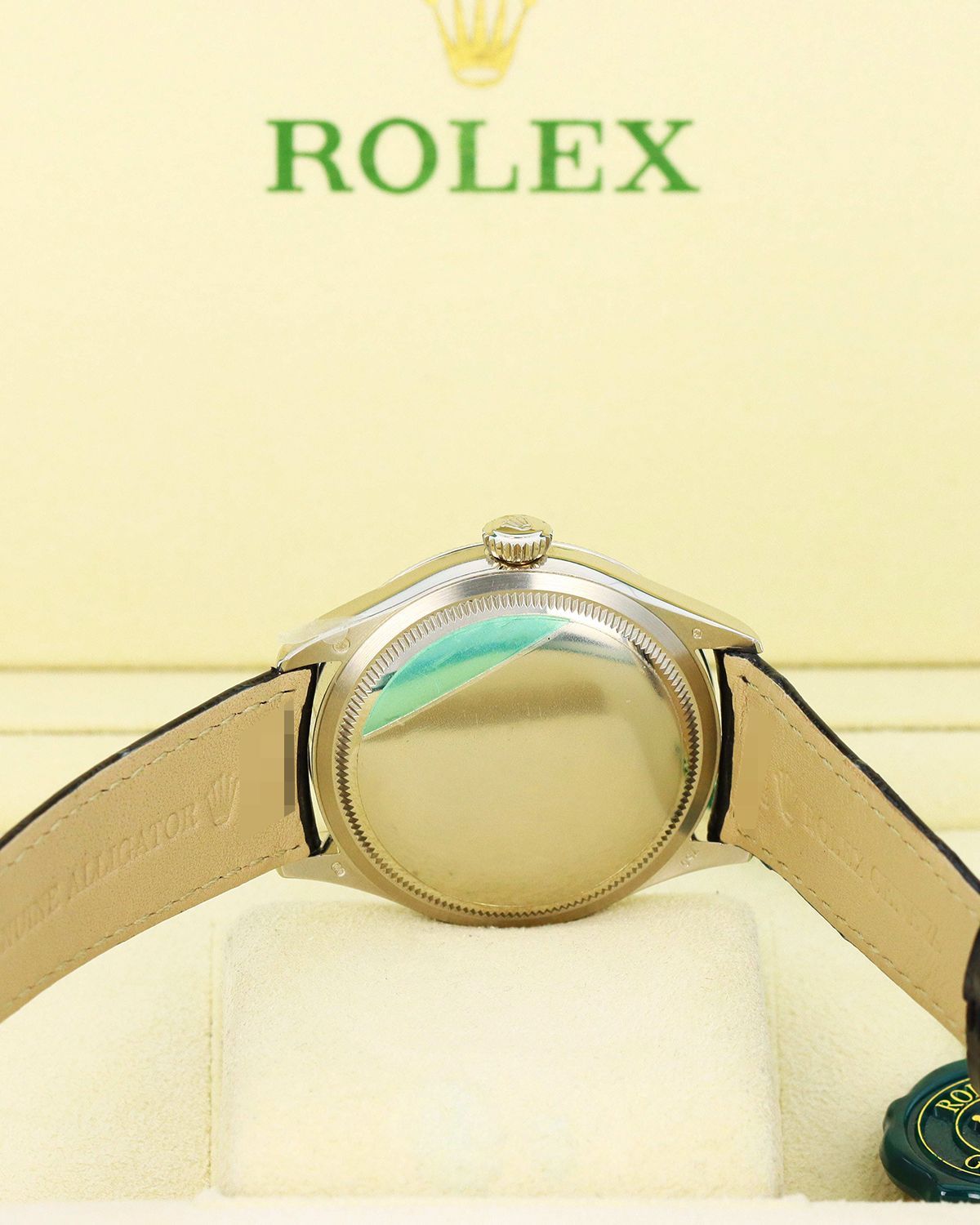 Rolex 50509