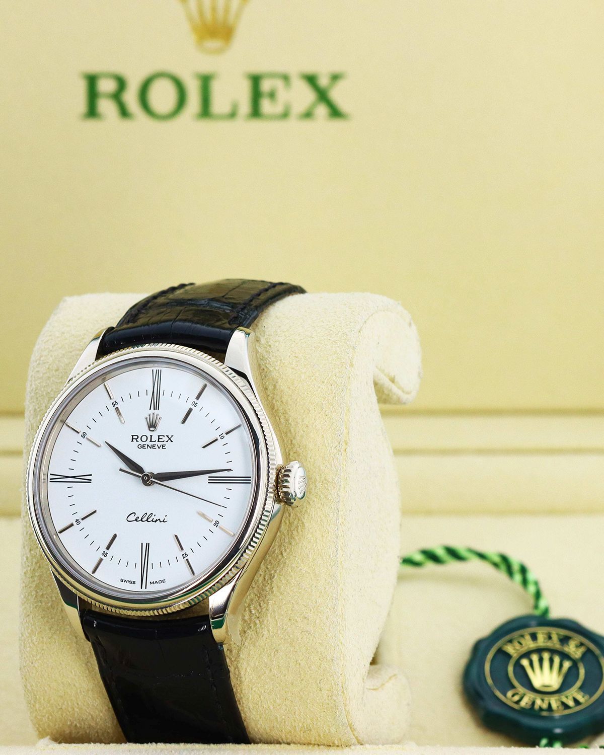 Rolex 50509