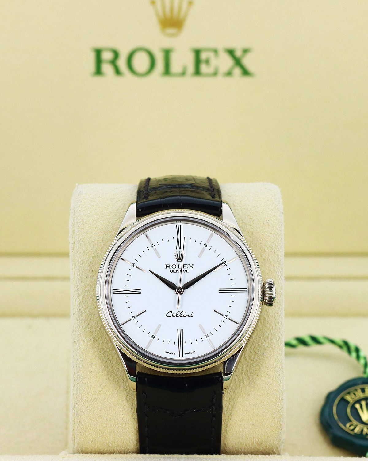 Rolex 50509